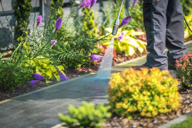 Spring Cleaning in Linglestown, PA