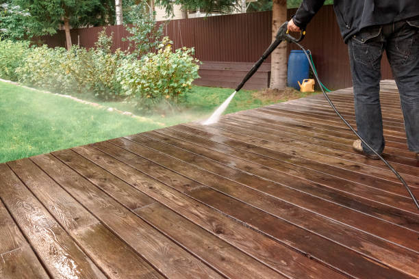 Animal Enclosure Cleaning in Linglestown, PA